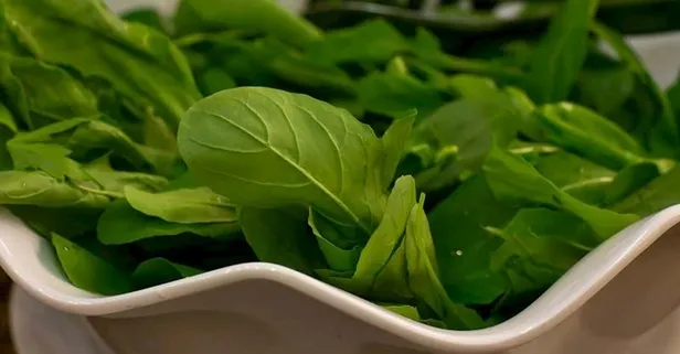 Roka size güç katar