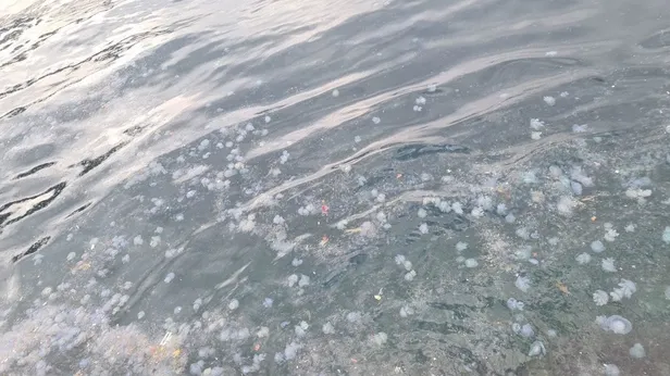 istanbul-chpli-ekrem-imamoglu-yonetiminde-25-yil-oncesine-geri-donuyor-kadim-sehre-yazik-ediyorlar-1607876352814.jpeg İstanbul, CHP'li Ekrem İmamoğlu yönetiminde 25 yıl öncesine geri dönüyor: Kadim şehre yazık ediyorlar-9