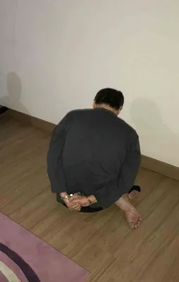 Alman diplomatik araçlardan FETÖ'cülere VİP hizmet!