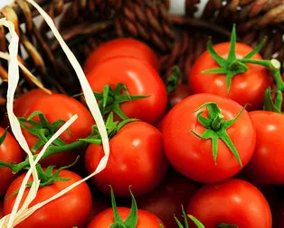 Rusya’dan flaş domates açıklaması
