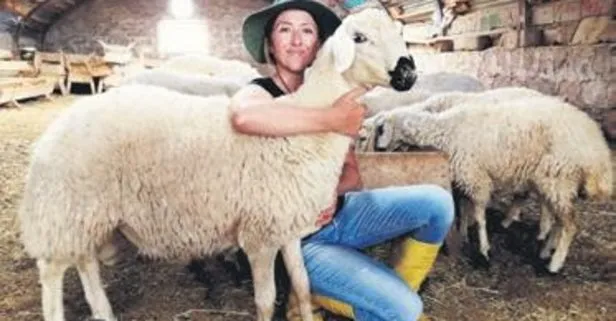 Kayseri’de yaşayan Arzu Metin 300 koyuna çoban arıyor Yaşam haberleri