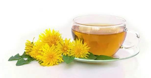 Pankreasa karahindiba