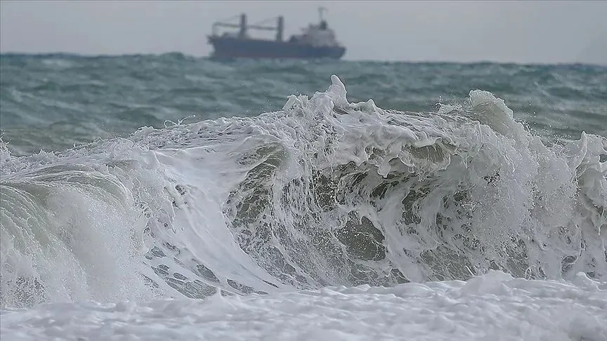 meksikada-74-buyuklugunde-deprem-tsunami-uyarisi-yapildi-1784301865370.jpeg Meksika’da 7,4 büyüklüğünde deprem: Tsunami uyarısı yapıldı-3