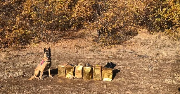 Bitlis'te 100 kg patlayıcı madde ele geçirildi!