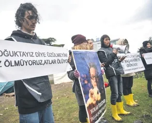 Hayvanseverlerin fayton protestosu Saraçhane Parkında devam ediyor