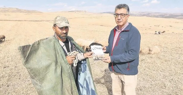 Çoban yıldızı! İki akademisyen çobanlık üzerine yazdığı kitabı çobanlara dağıttı