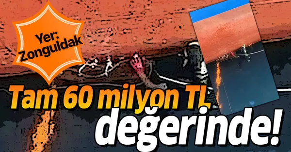 Zonguldak'ta bulundu! Tam 60 milyon TL değerinde!-1