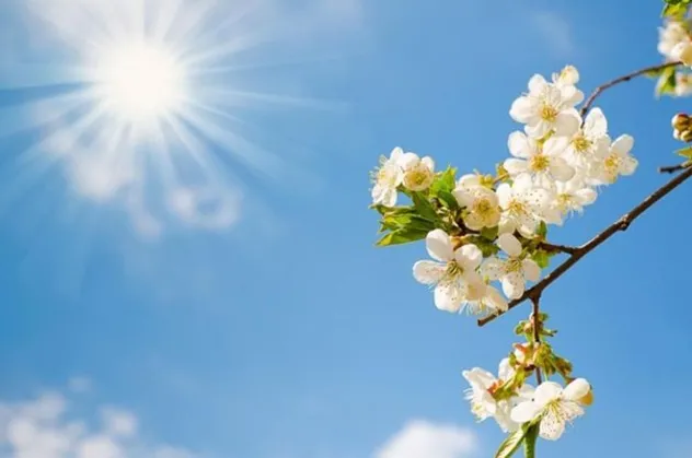 İlk cemre ne zaman düşer? 2019 yılı cemre tarihleri! Cemre nedir?