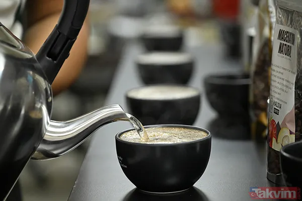 Bilim Kanıtladı: Günde 4 Fincan Kahve Yaşlanmayı Durduruyor - 2