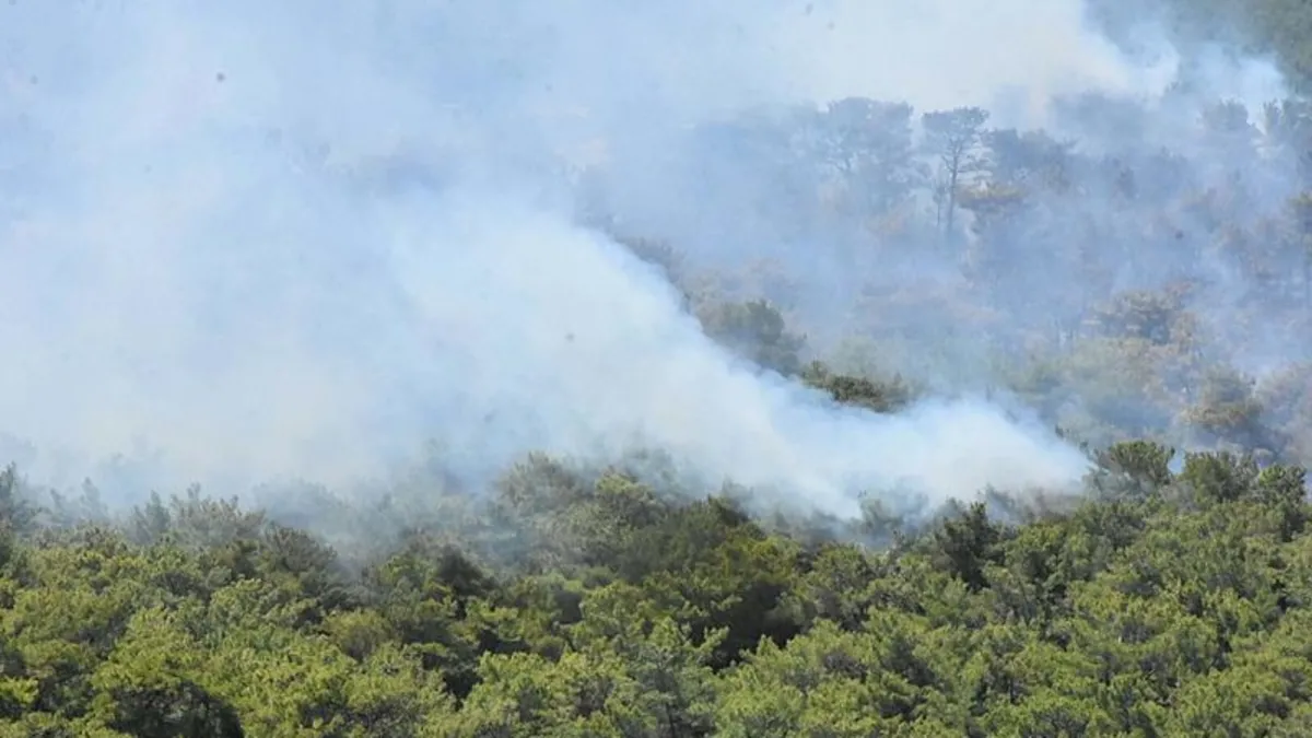 İzmir Urla'da yeniden yangın çıktı