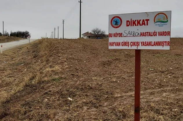 Kırşehir'de şarbon hastalığı