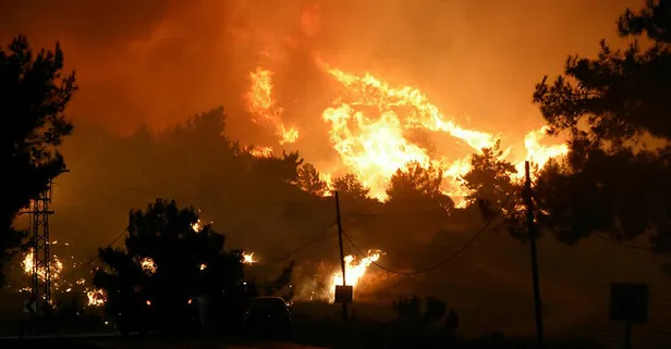 İzmir Menderes'te yangın çıkmasına neden olan şahıs tutuklandı!