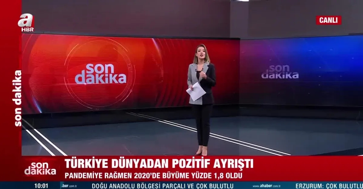Türkiye salgın yılında yüzde 1,8 büyüdü