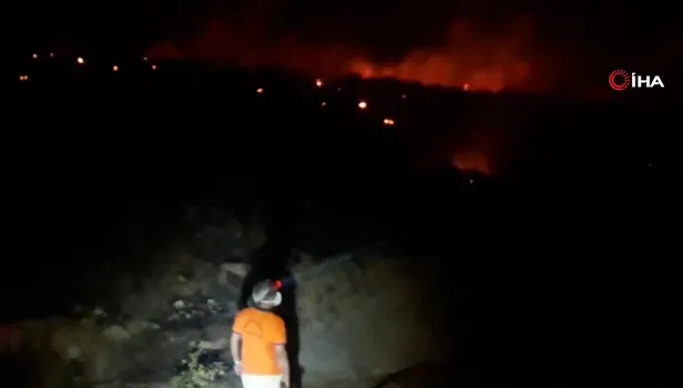 Son dakika: Mersin'de orman yangını