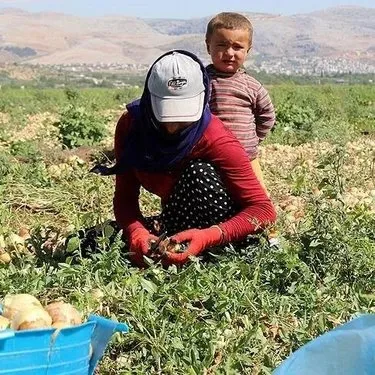 Başkan Erdoğan imzaladı! Mevsimlik tarım işçileriyle ilgili yeni düzenleme