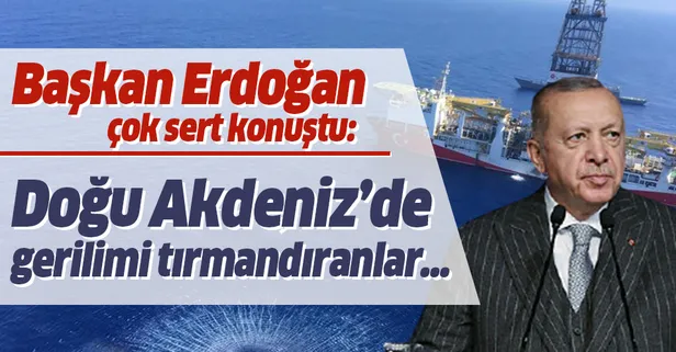 Başkan Erdoğan'dan Doğu Akdeniz açıklaması
