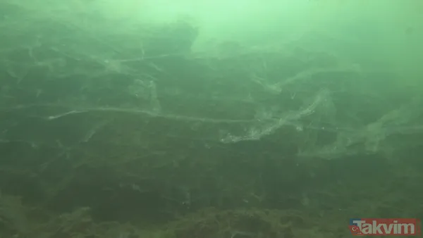 SON DAKİKA: Marmara Denizi'ni kaplayan deniz salyası (müsilaj) nedeniyle ölçüm cihazı bile su altına inemedi - 3