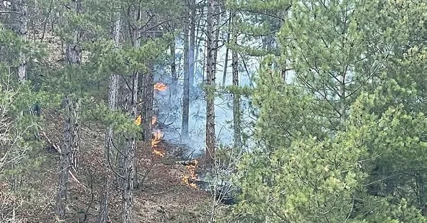 Son dakika: Bursa’da orman yangını