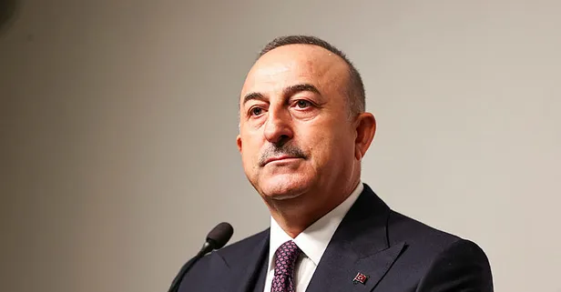 Son dakika: Dışişleri Bakanı Mevlüt Çavuşoğlu Estonya Cumhurbaşkanı Alar Karis ile görüştü