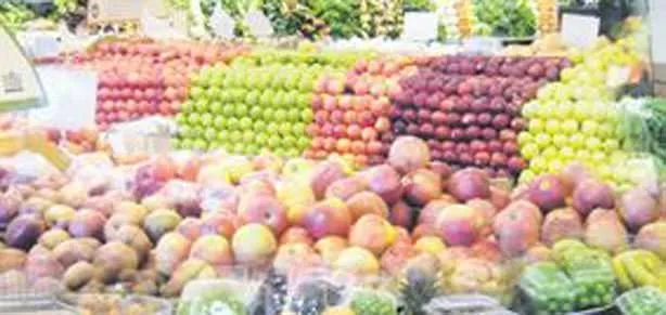 Meyve fırsatçısı pusuda