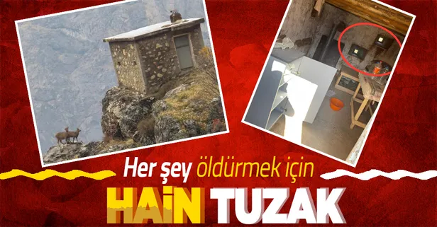 Hain tuzak! Yaban keçilerini ceylanları böyle tuzağa düşürüyorlar