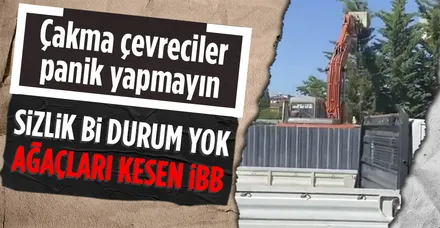 İBB'nin Üsküdar-Sultanbeyli metro hattında ağaçları söküp taşımak yerine iş makinesi ile katletmesi tepkilere neden oldu - Takvim