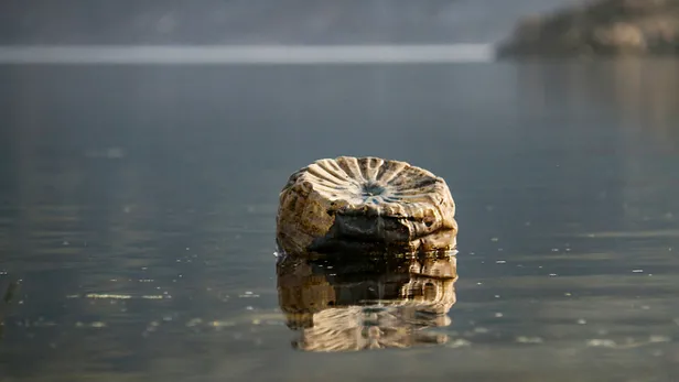alibeykoy-barajinda-korkutan-goruntu-maglova-kemerinin-ayaklari-gorunmeye-basladi-1607509340296.jpg Alibeyköy Barajı alarm veriyor! Mağlova Kemeri’nin ayakları görünmeye başladı-4