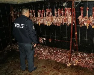 Görüntüler mide bulandırdı