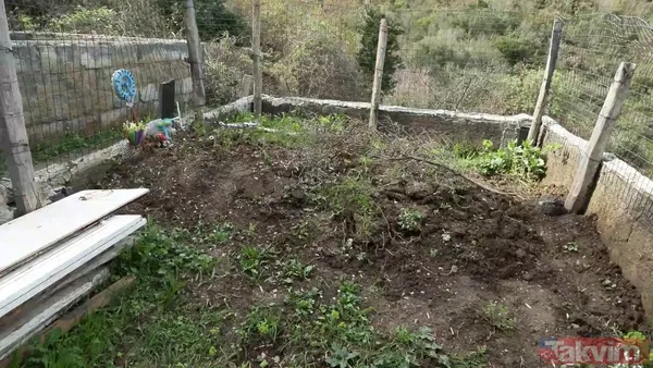 "Mezarı Kaçırdılar" Aycan İmre Şunları Söyledi: "Bana Kendisini 'Dede' Olarak Tanıttı. Yıllarca Hep Dede Olarak Bildim. En Son Rahatsızlandığında, 2023 Haziran...