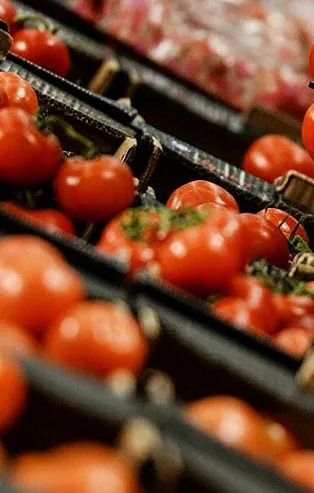 Domates kemik erimesini önlüyor