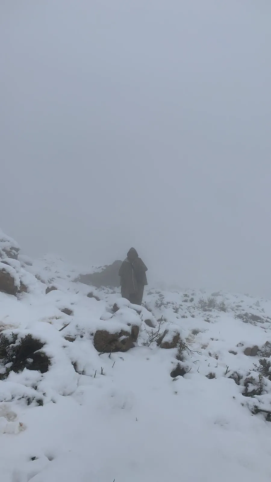 Milli Savunma Bakanlığı: Yiğitlerimiz, çocuklarımızı üzmeye kalkan teröristleri incitmeye devam edecek!