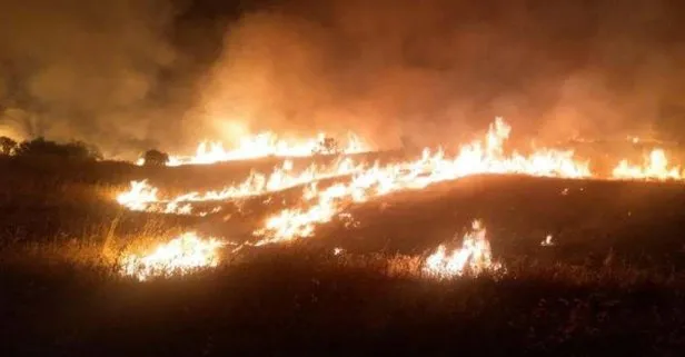 Elazığ’ın Aladikme köyünde çıkan yangında 400 dekar alan zarar gördü
