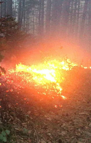 Uludağ'da orman yangını!