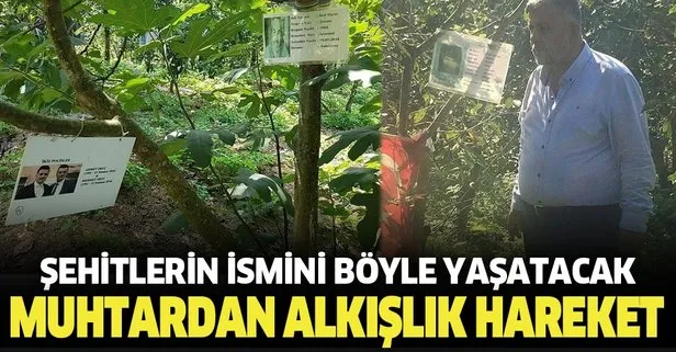 Köy muhtarı Yahya Karaoğlan’dan alkışlık hareket! Şehitlerin ismi ağaçlarda yaşayacak!