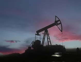 AB’den Rus petrolüne ambargo