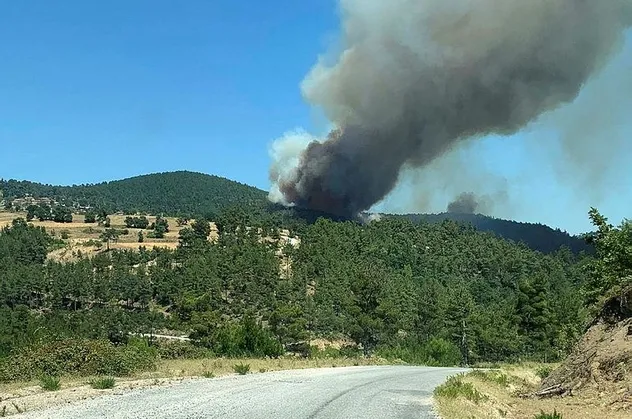 Son dakika: Çanakkale''nin Yenice ilçesinde orman yangını