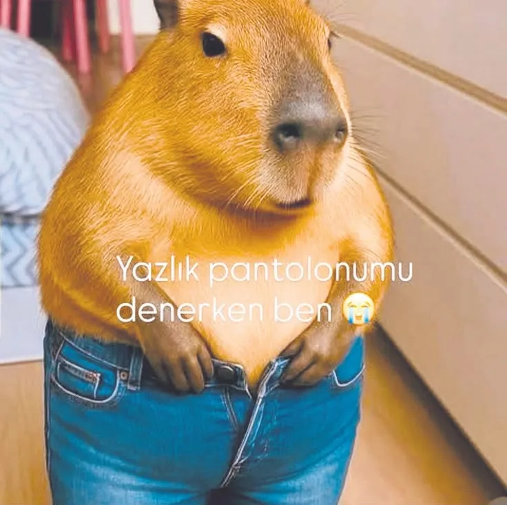 Sosyal medyada abartı dili ve edebiyatı
