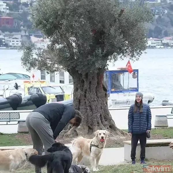 11 yıllık eski aşıklar İbrahim Kutluay ile Edvina Sponza cephesinde flaş gelişme! Sokak ortasında kavga etmişlerdi: Mahallemden defol git - 16