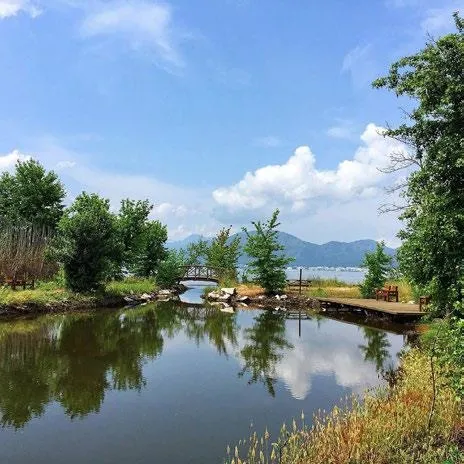 doktor-tarafindan-kapli-tedavisine-gerek-gorulenlere-devlet-tarafindan-destek-1667086668858.jpeg Doktor tarafından kaplı tedavisine gerek görülenlere devlet tarafından destek-5