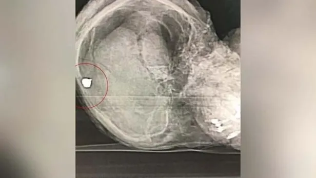 2012 yılında öldürülen Rus milletvekili ve ailesinin cesetleri bulundu-5
