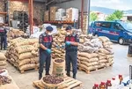 İzmir’de 3 ton incire kimyasal işlem! Beyazlatmak için lavabo açıcı kullandılar