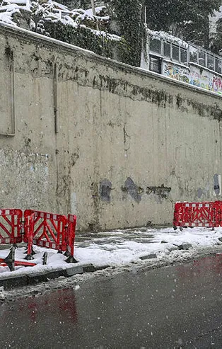 İBB asırlık ağaçları tedavi etmeden kökten kesti! Anıt çınarlarla ilgili şoke eden gerçek! Reklam panosu mu asılacak?