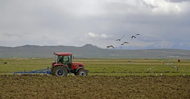 Çiftçiler dikkat! Tarımsal destekleme ödemeleri bugün çiftçilerin hesaplarına aktarılıyor