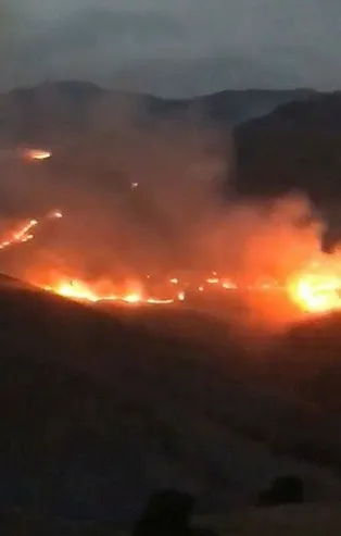 Son dakika: Bayburt'ta orman yangını