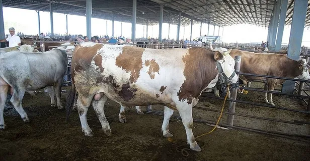 kurban bayrami tatili 9 gun oldu mu