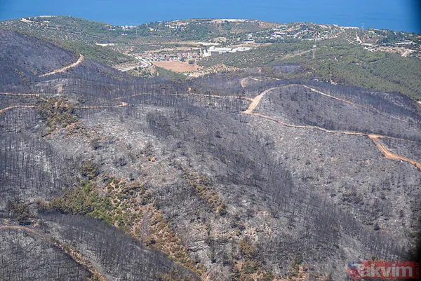 Bir izmaritin bedeli 50 hektarlık alan oldu! İşte İzmir'deki yangın faciasının çıkış anı - 8
