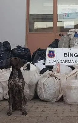Bingöl'de 714 kilo 890 gram esrar ele geçirildi