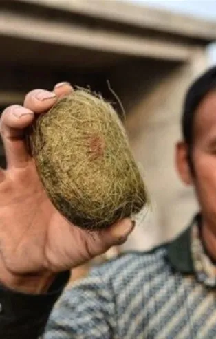 Çıkanlar herkesi şaşırttı