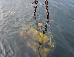 Denizin dibinden tank çıkardılar