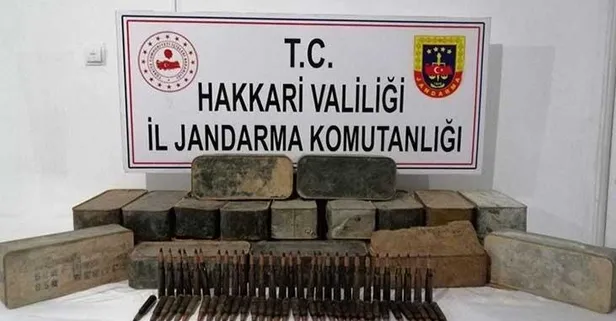 Son dakika: Hakkari'de yürütülen Yıldırım-2 Cilo Operasyonu'nda çok sayıda uçaksavar mühimmatı ele geçirildi